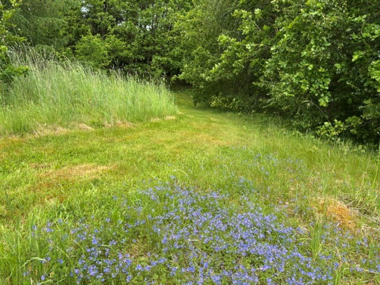 image 02